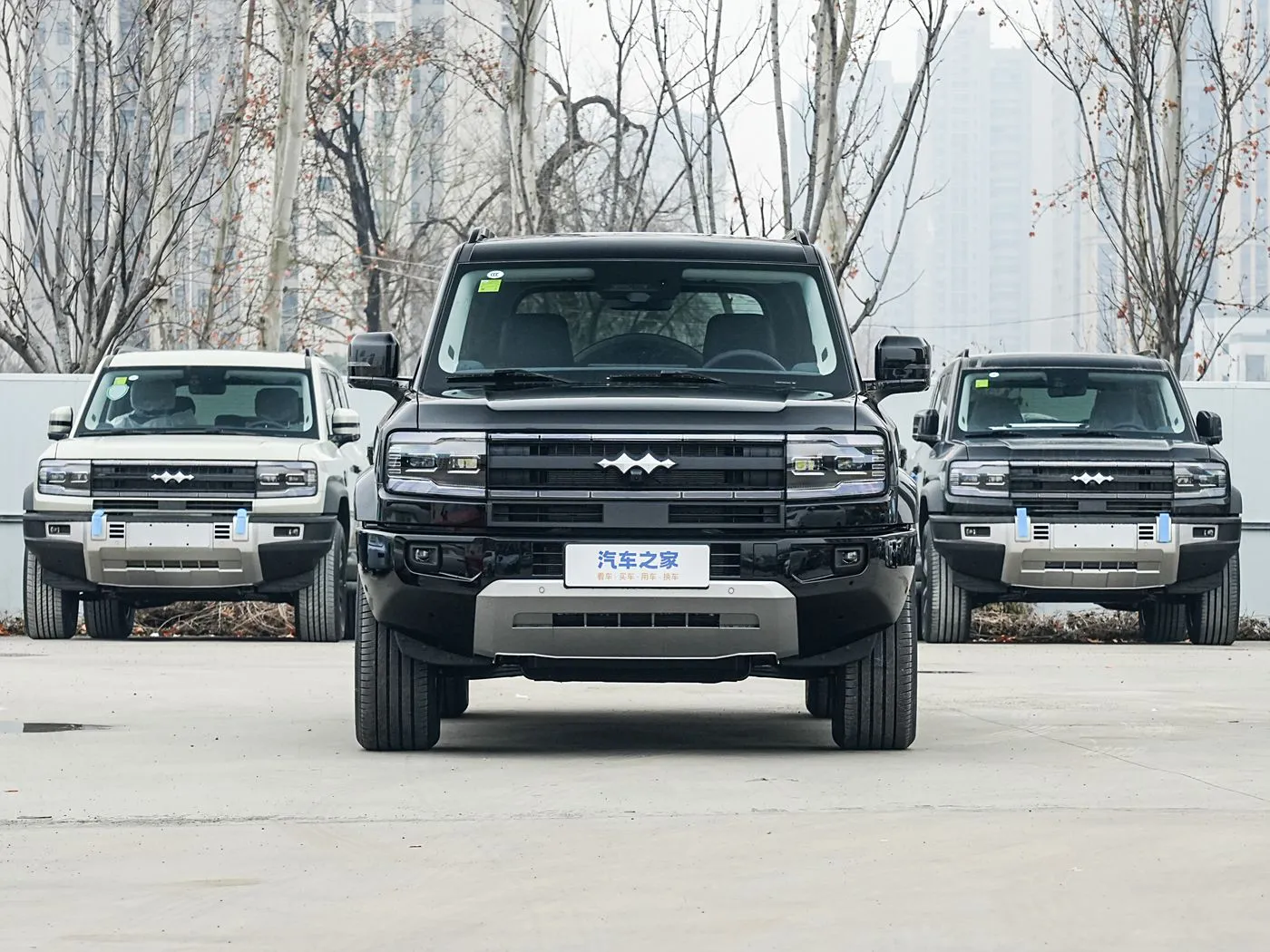 Formula Leopard Leopard 5 2025 Model Year Tian Shen Intelligent Driving Ultra Edition